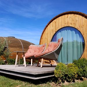 Pacheca The Wine House Hotel E Spa - Quinta Da Pacheca